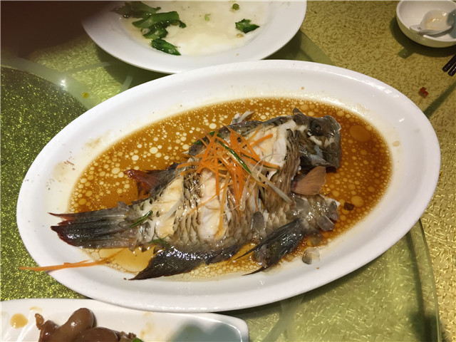 珍贵的苏眉鱼,肉质细嫩
