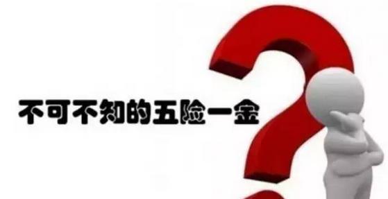 五险一金好还是社保好？ 第1张