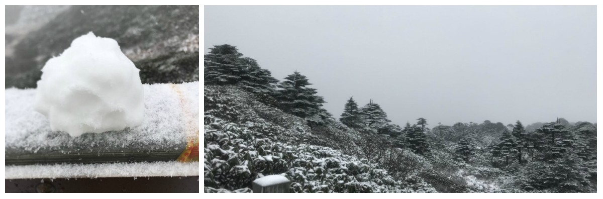 风花雪月瑞方情，万水千山大理行 第6张